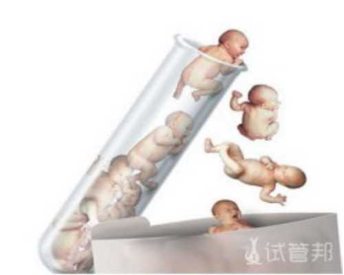 急需用钱卖卵子_捐卵怎么弄|上海国际和平妇幼保健院做一次试管总的费用要多