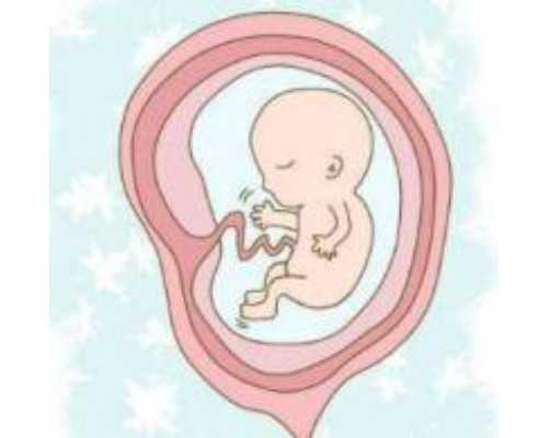 卵巢早衰有正常来月经还能怀孕&医院供卵需要多少钱,盘点女性不孕不育检查项